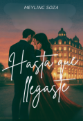 Portada del libro "Hasta que llegaste"