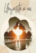 Portada del libro "Llegaste a mí"