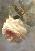 Portada del libro "Jardín de Cenizas y Anhelos "