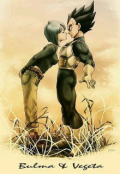 Portada del libro "Vegeta y Bulma "