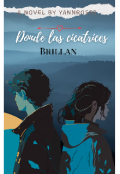 Portada del libro "Donde las cicatrices brillan "