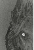 Portada del libro "Alma gris"