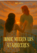 Portada del libro "Donde mueren los atardeceres "