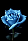 Portada del libro "Amor Cruel"