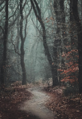 Portada del libro "¡peligro en el bosque!"