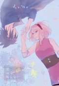 Portada del libro "Primavera Eterna"