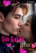 Portada del libro "Sin Galán, Tim "