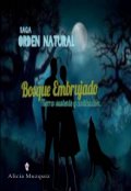 Portada del libro "Bosque Embrujado"