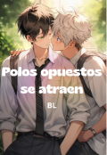 Portada del libro "Polos Opuestos Se Atraen"