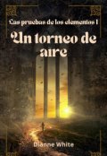 Portada del libro "Un torneo de aire"