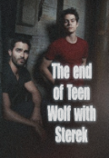 Portada del libro "The end of teen wolf with Sterek "