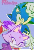 Portada del libro "Flámico (fanfic Sonic the Hedgehog)"