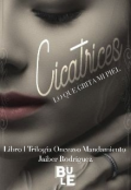 Portada del libro "Cicatrices 1"