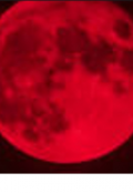 Portada del libro "La luna sangrienta."