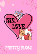 Portada del libro "Mr. Love"