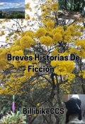 Portada del libro "Breves Historias De Ficción "