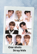 Portada del libro "One shots: Stray kids "