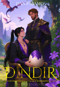 Portada del libro "Dindir 4"