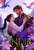 Portada del libro "Dindir 7"