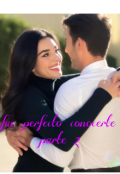Portada del libro "Fue perfecto conocerte parte 2 "