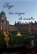 Portada del libro "Bajo las cenizas de nuestro odió"