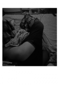 Portada del libro "Amor trans "