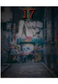 Portada del libro "17"