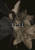Portada del libro "11:11"