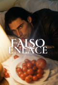 Portada del libro "Falso Enlace"