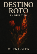 Portada del libro "Destinó roto - en otra vida "
