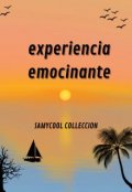Portada del libro "Experiencia emocionante"