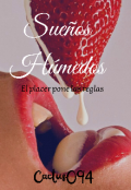 Portada del libro "Sueños Húmedos"