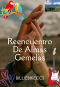 Portada del libro "Reencuentro De Almas Gemelas"