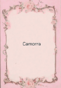 Portada del libro "Camorra "