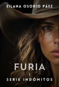 Portada del libro "Furia"