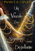 Portada del libro "Un Vínculo tan sombrío como destellante"