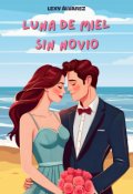 Portada del libro "Luna de Miel sin Novio"