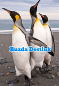 Portada del libro "Buzda Dostluk"