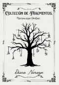 Portada del libro "Colección de Fragmentos - Diccionario Poetico"