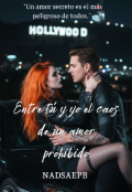 Portada del libro "Entre tú y yo el caos de un amor prohibido"