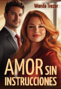 Portada del libro "Amor sin instrucciones"