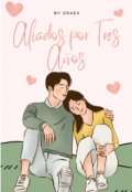 Portada del libro "Aliados por Tres Años"
