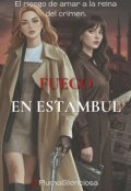 Portada del libro "Fuego en Estambul"