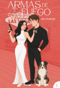 Portada del libro "Armas de Fuego"
