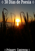 Portada del libro "30 Días de Poesía "