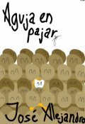 Portada del libro "Aguja en pajar"