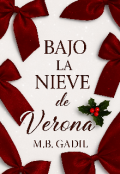 Portada del libro "Bajo la nieve de Verona."