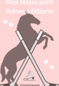 Portada del libro "Diez Meses para Volver a Odiarte"