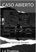 Portada del libro "Caso Abierto I"