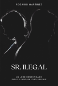 Portada del libro "Sr. Ilegal"